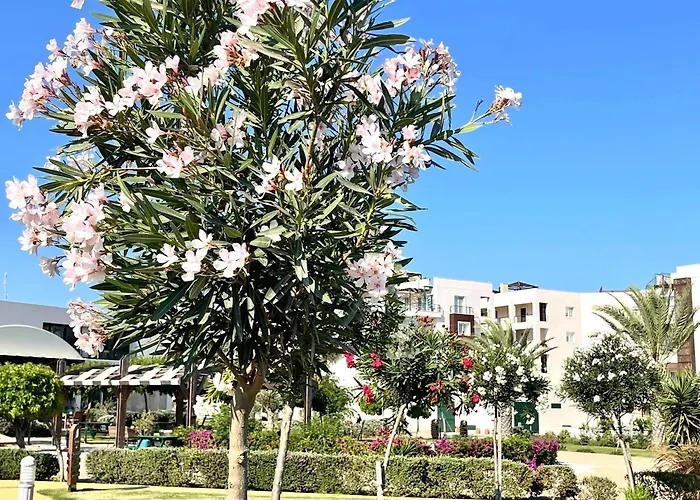 Retreat By The Sea Lägenhet Vokolidha