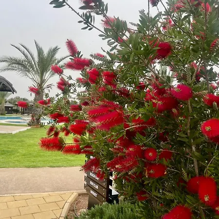 Апартаменты Retreat By The Sea Vokolidha