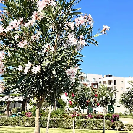 Retreat By The Sea Διαμέρισμα Vokolidha