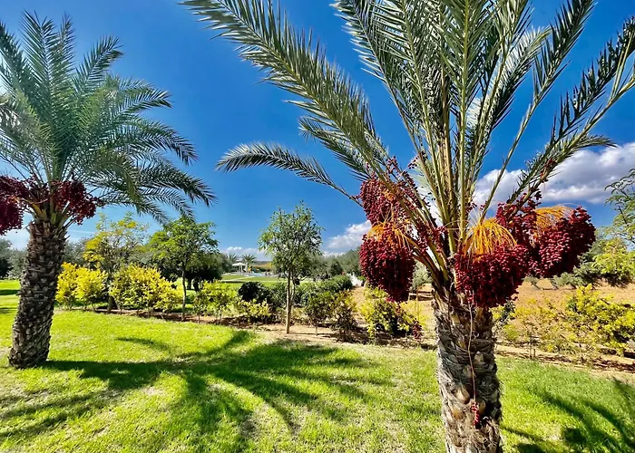 Retreat By The Sea Apartamento Vokolidha